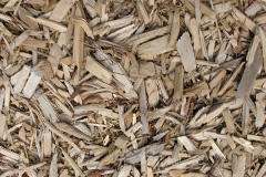 biomass boilers Eythorne